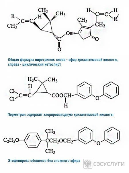 Никотиновая кислота формула структурная