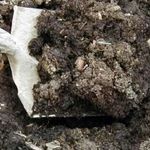 Как сажать картошку: подготовка почвы и клубней, особенности высадки