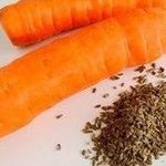 Мы расскажем о том, как прорастить семена моркови, чтобы она взошли в рекордно короткие сроки!