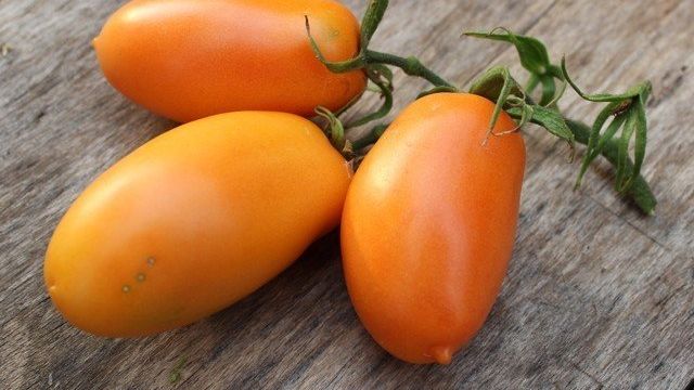 Томат Перцевидный оранжевый: характеристика и описание сорта, отзывы, фото, урожайность