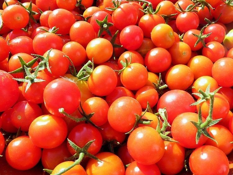 Турецкие черри помидоры
