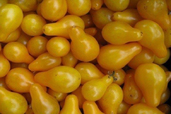 Желтые грушевидные маленькие помидоры