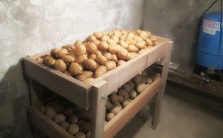 Ящик для хранения картошки