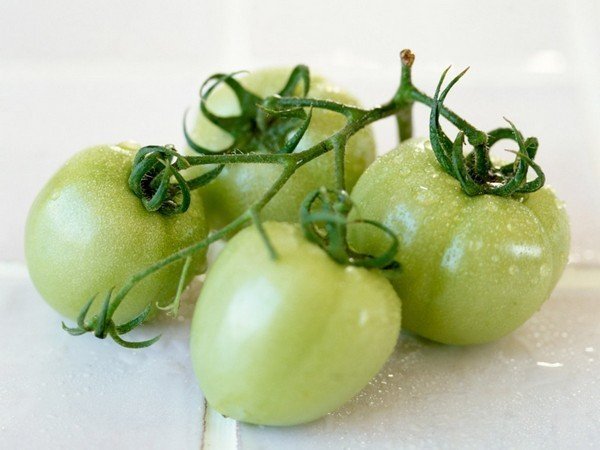 Зелёные помидоры на ксте